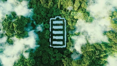 Forest with a charging sign